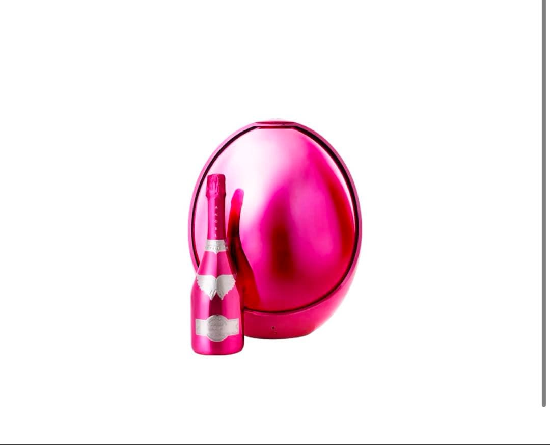 ワイン ANGEL CHAMPAGNE Vintage 2008 Pink Egg