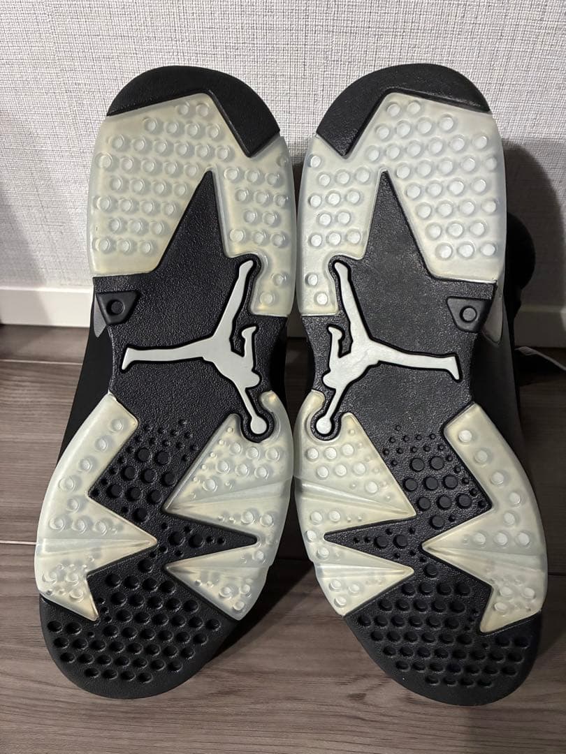 シューズ(男性用) AIR JORDAN 6 RETRO llic Silver 27.0