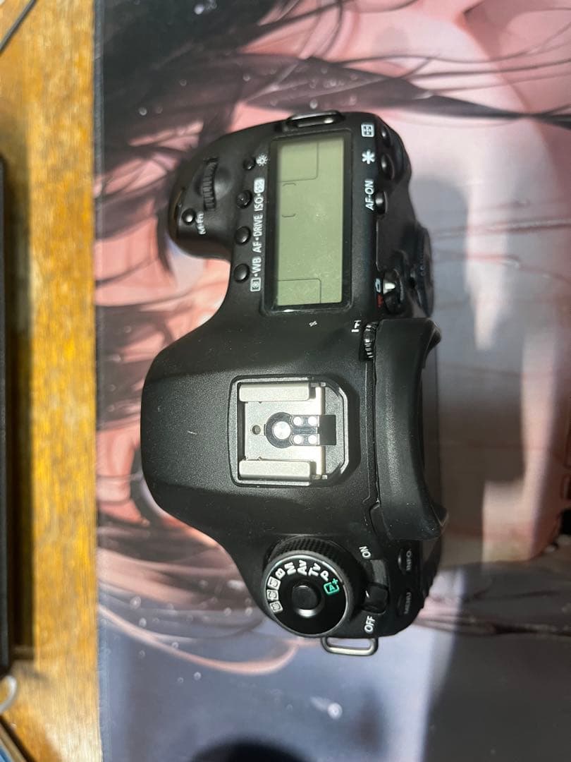 Canon EOS 5D MARK3 +電池2個+ データケーブル