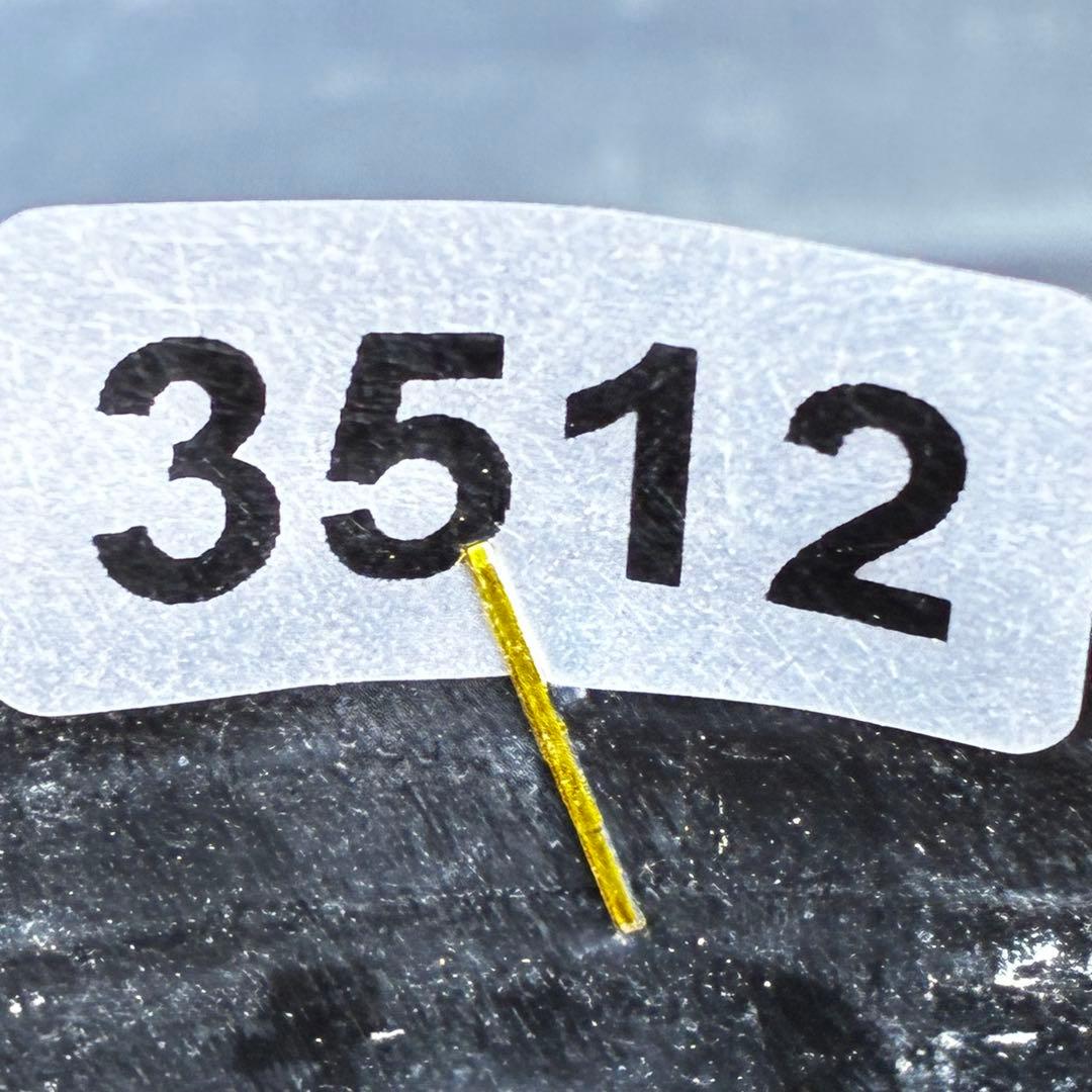 r*o様 3512☘️蕾花付き☘️極上☘️⭐️キラキラ光線⭐️レッド⭐️多花性⭐