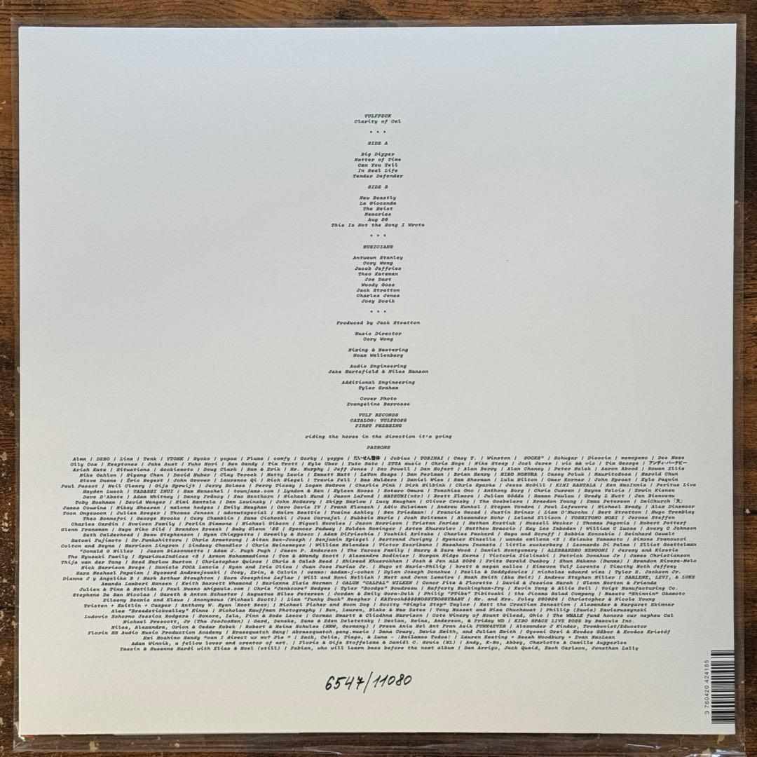 Vulfpeck Clarity of cal レコード