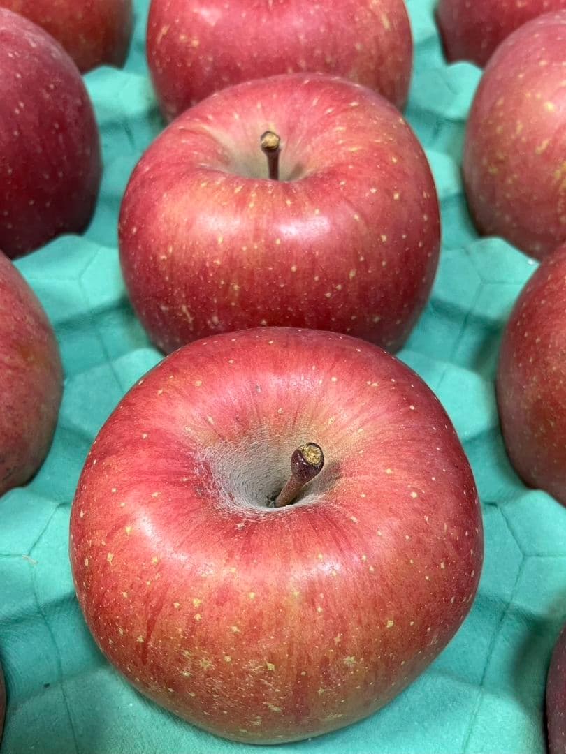 向日葵さん専用