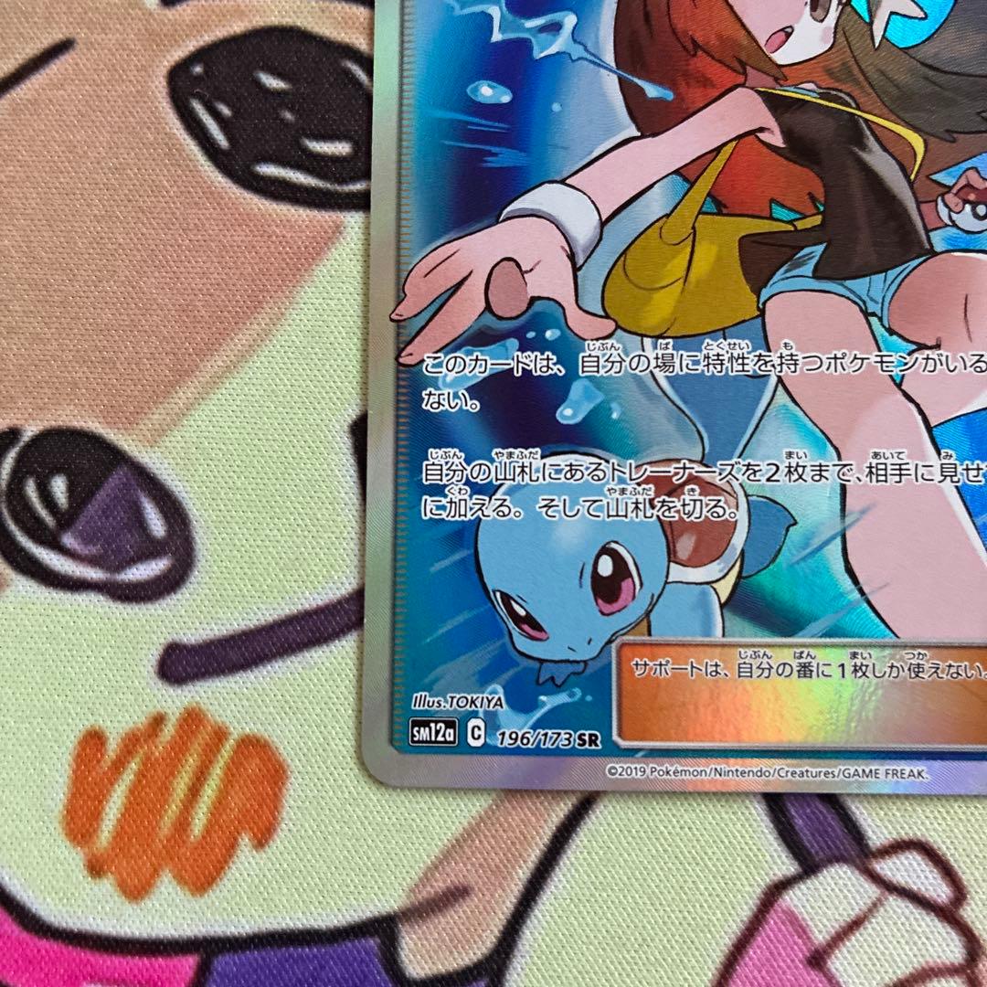 ブルーの探索 SR 亀あり