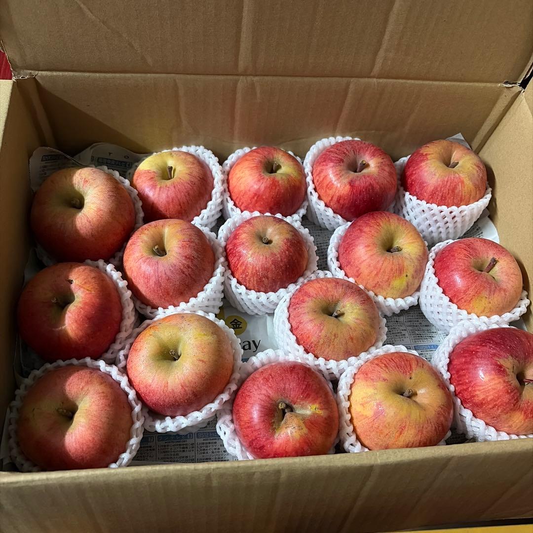 ＊yZITA＊　福島県産　春明21 家庭用　10㎏