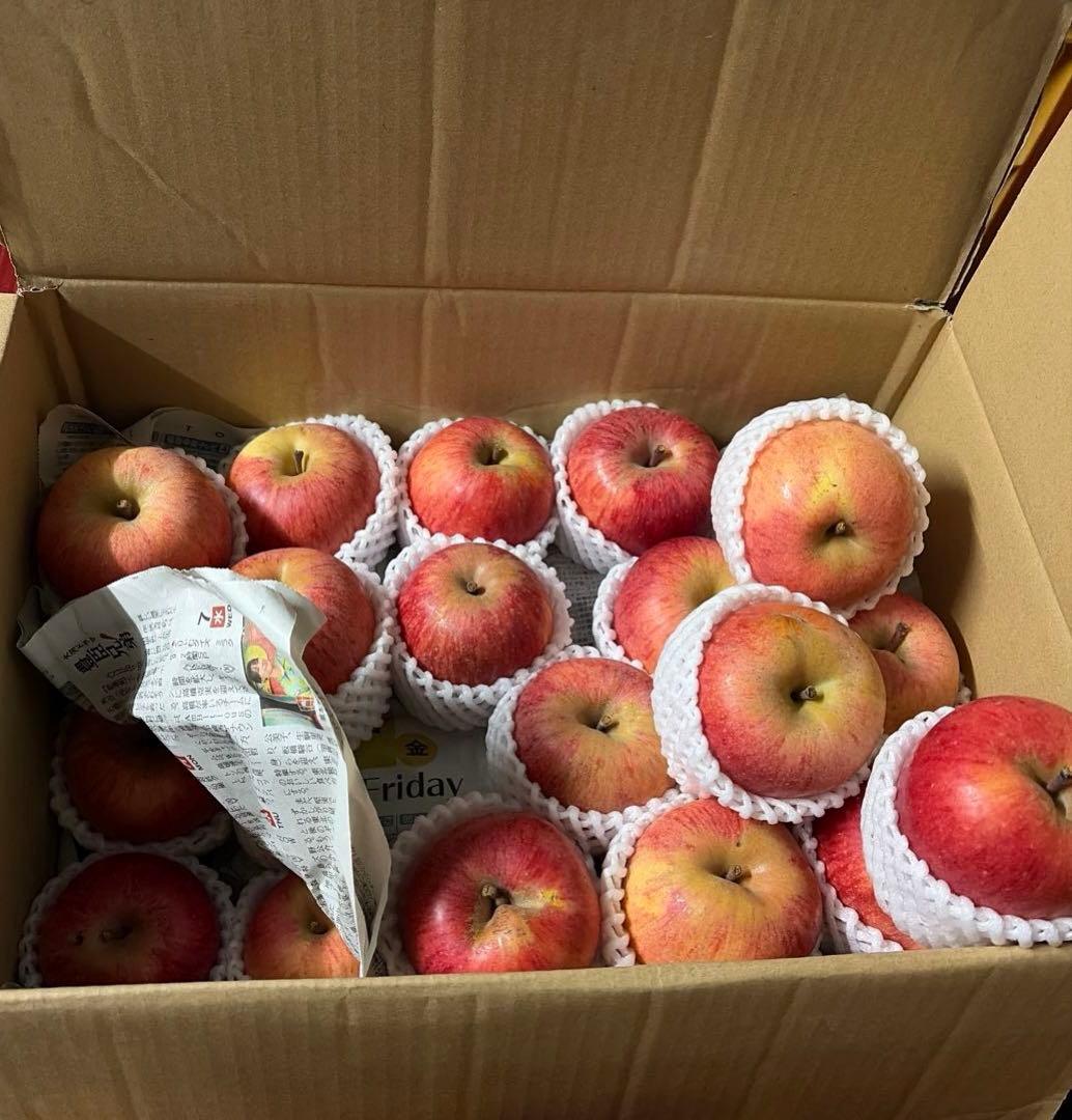 ＊yZITA＊　福島県産　春明21 家庭用　10㎏