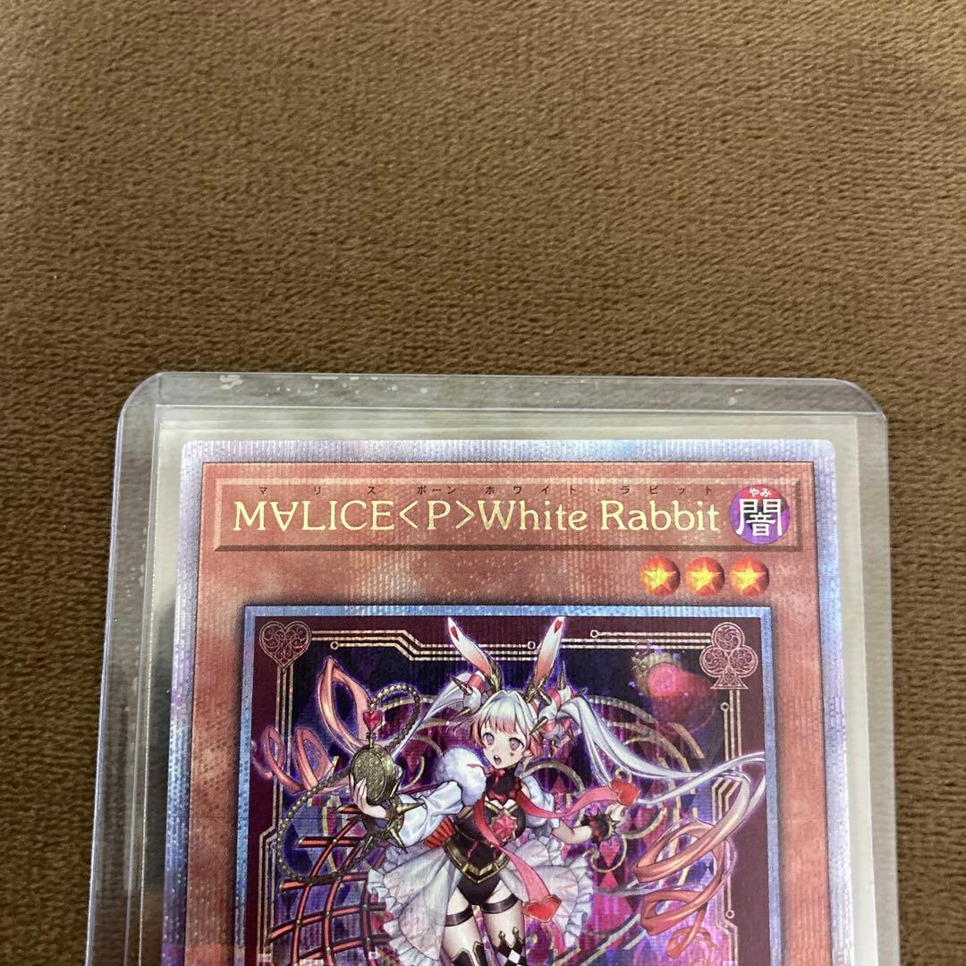 MALICE P White Rabbit ホワイトラビット25thシークレット