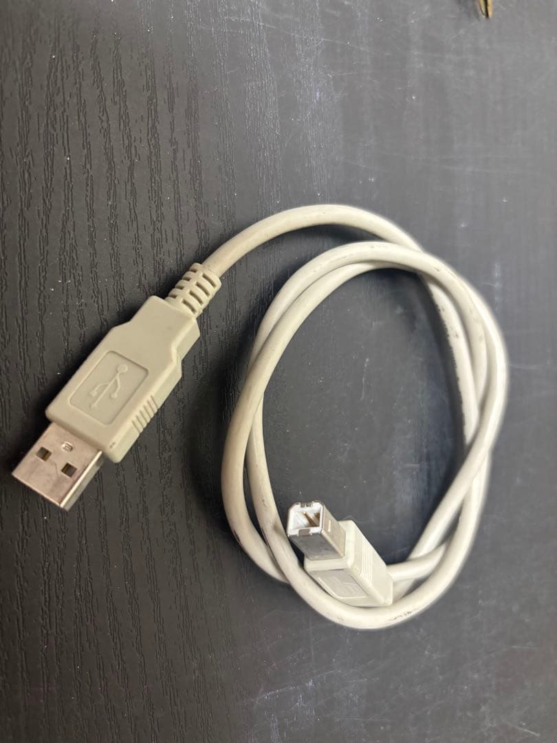 カーオーディオ audison Bit Ten-SIP