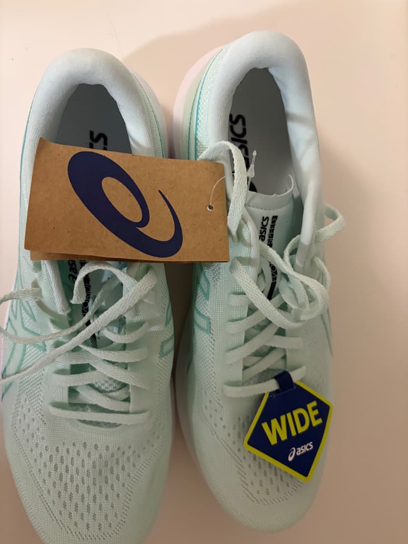 新品 ASICS EvorideSpeed3 エボライドスピード3 27.5W