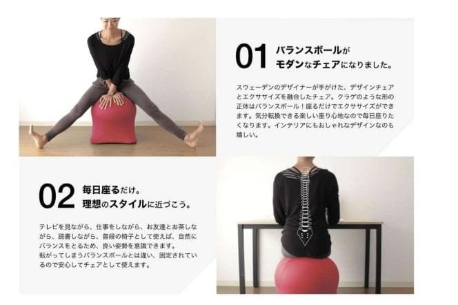 値下げ！ジェリーフィッシュチェア SPICE OF LIFE エクササイズ