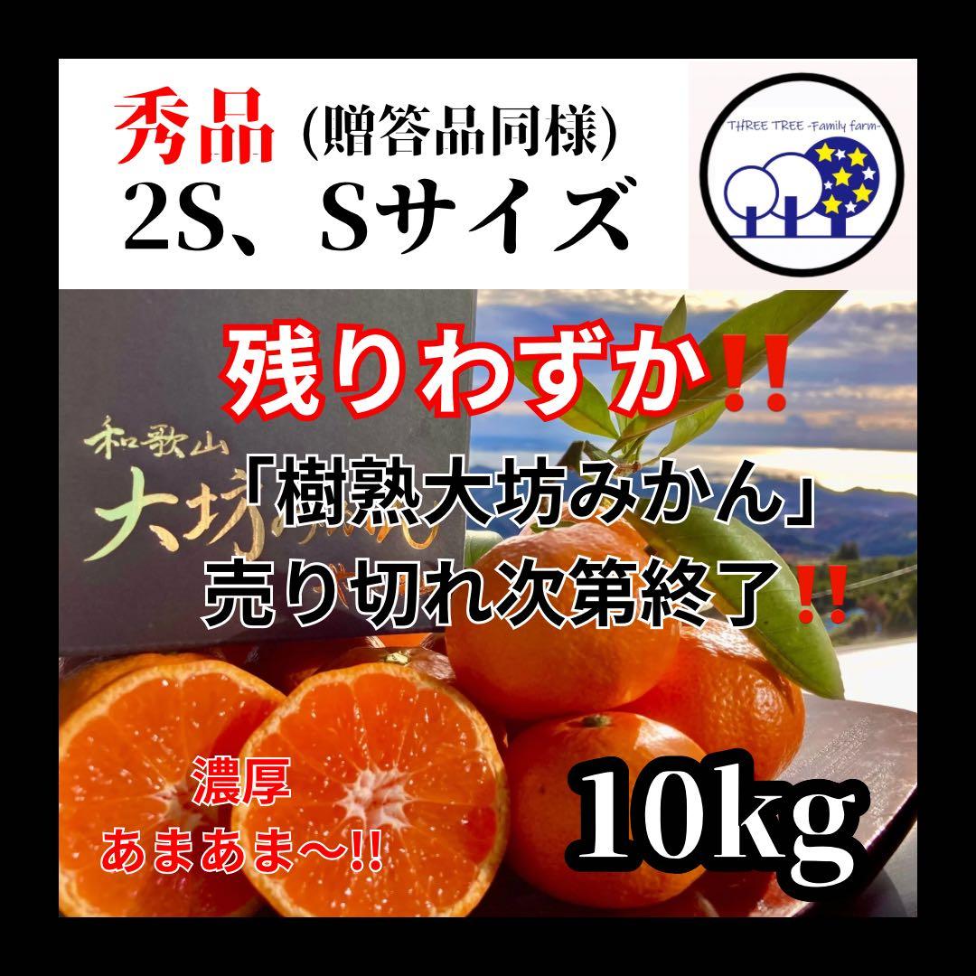 ②温州みかん 樹熟大坊みかん 秀品(贈答品同様)2S、S混合10kg