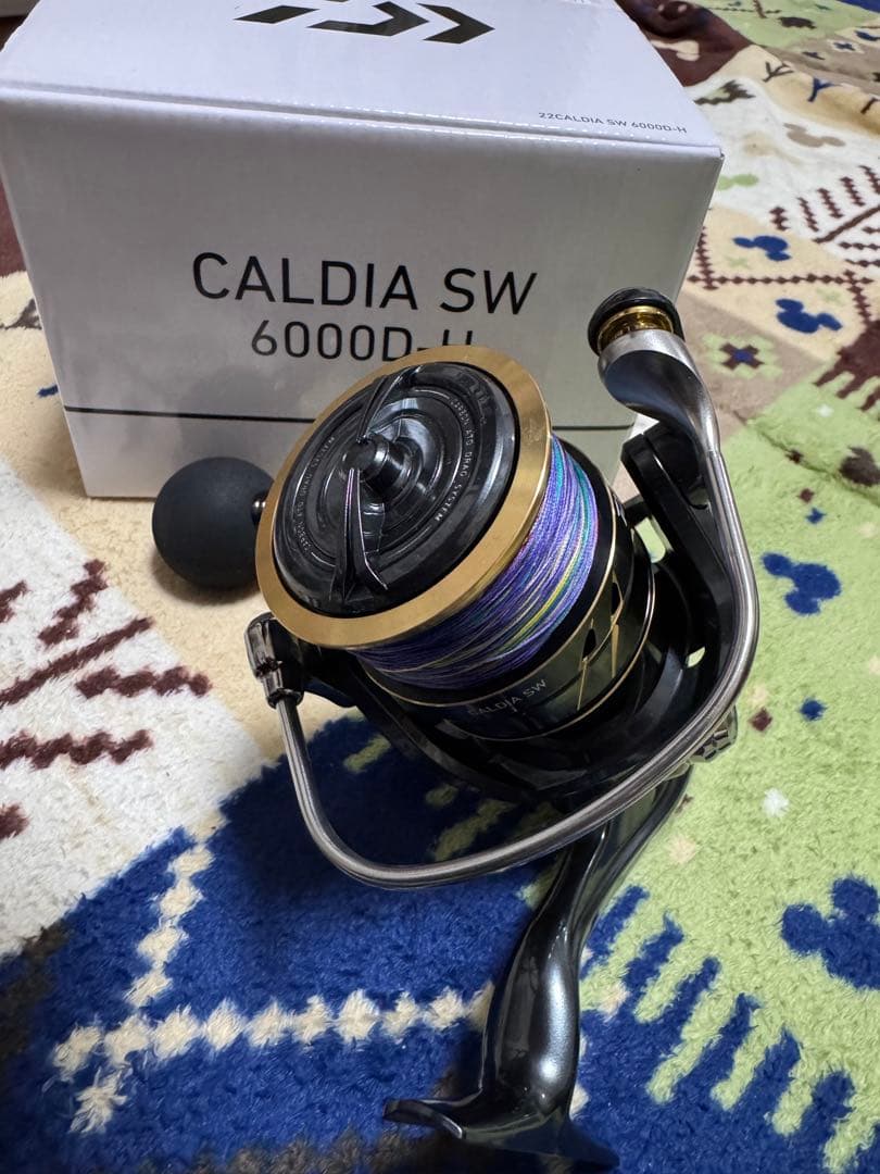本日限定！！CALDIA SW 6000D-H