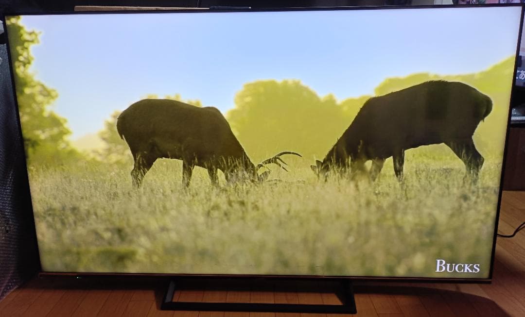 美品 20年製 65V型 ハイセンス65S6E 4Kテレビ 初期フィルム付き