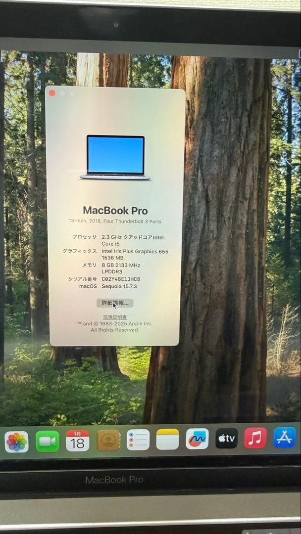 MacBook Pro 2018 13インチ 8GBメモリ