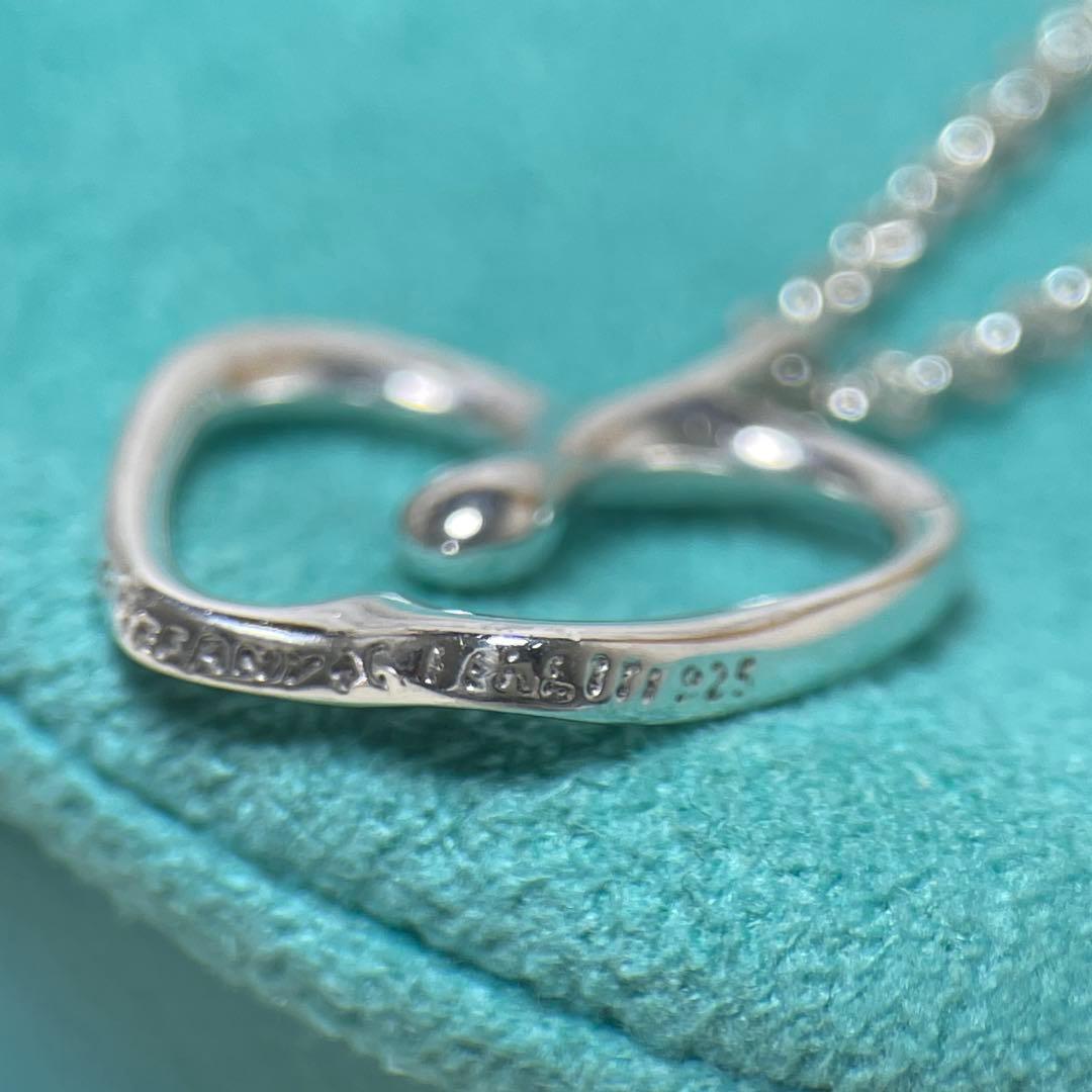 TIFFANY&Co.ティファニー　アップルモチーフネックレス 925