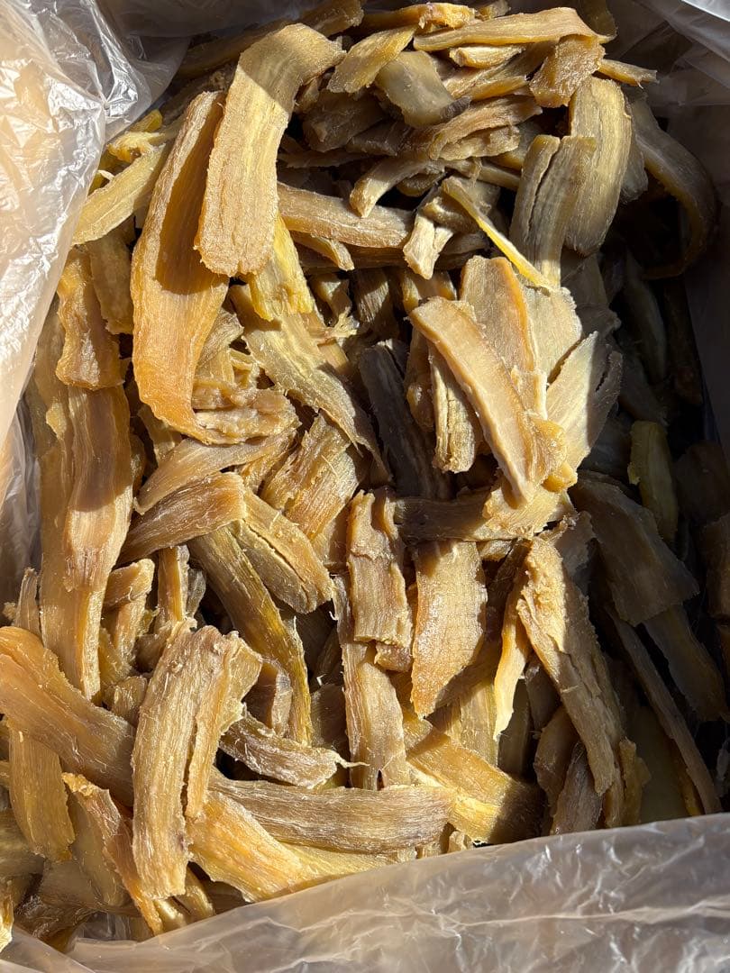 紅はるか　シロタ10キロ