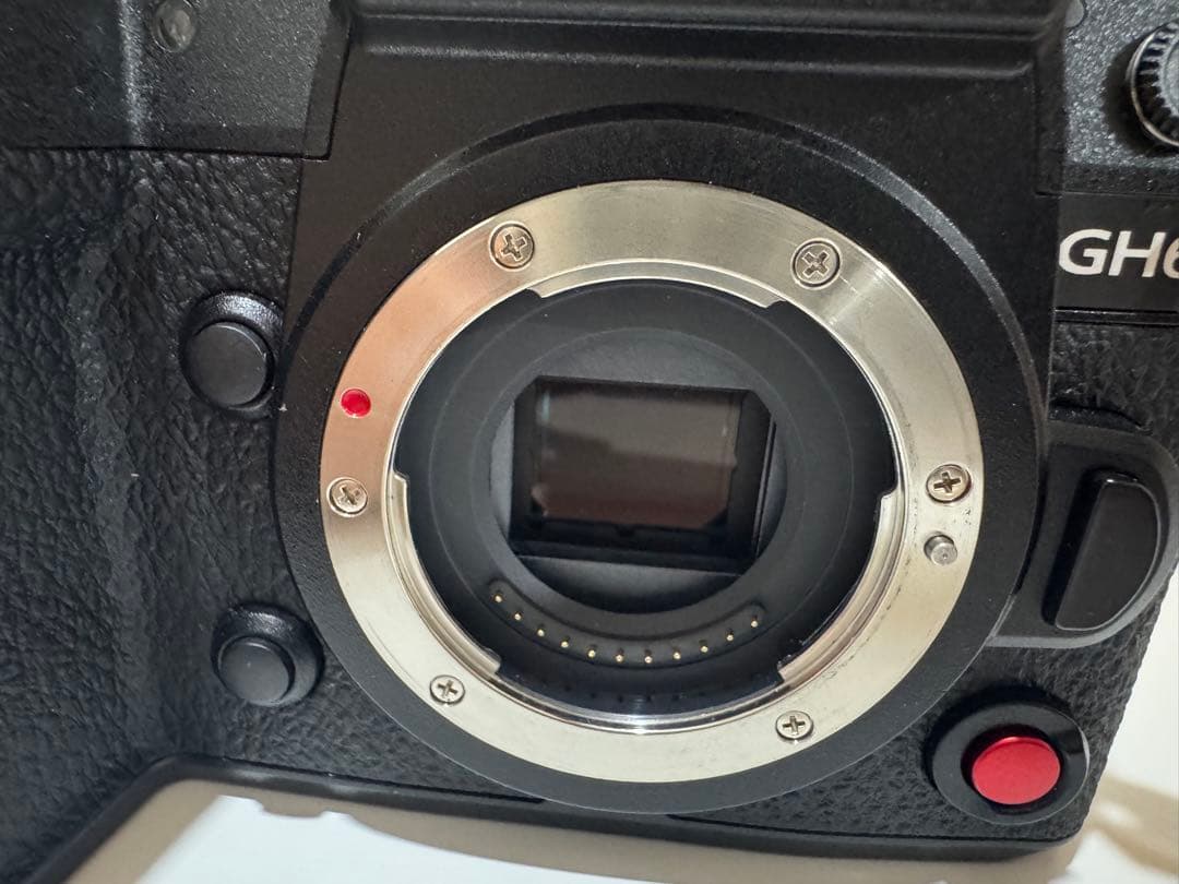 デジタルカメラ LUMIX Gh6