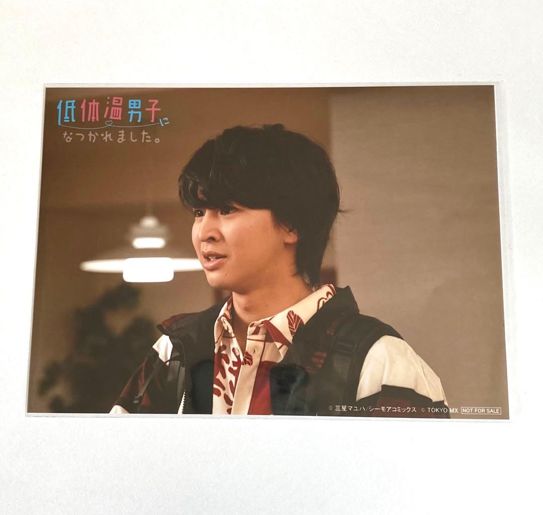 藤本洸大 低体温男子になつかれました。 2L判ブロマイド