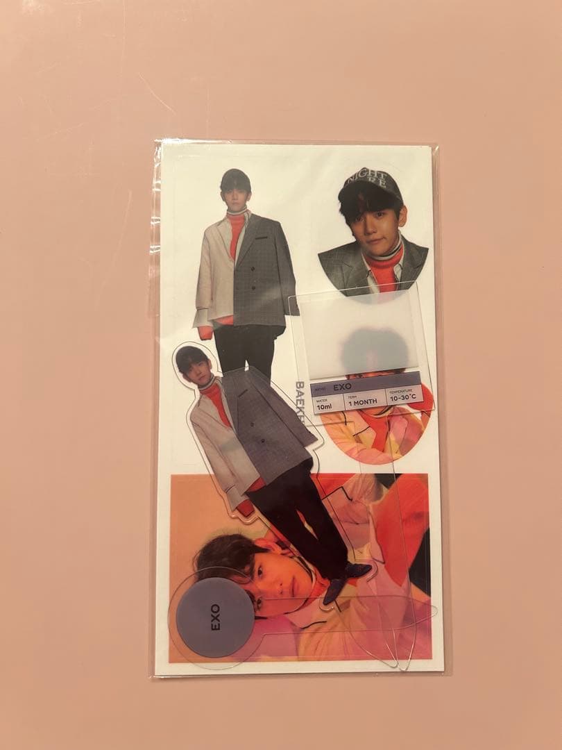EXO ベッキョン テラリウム ステッカー