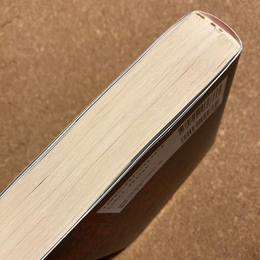 川尻善昭「バンパイアハンターD」絵コンテ集