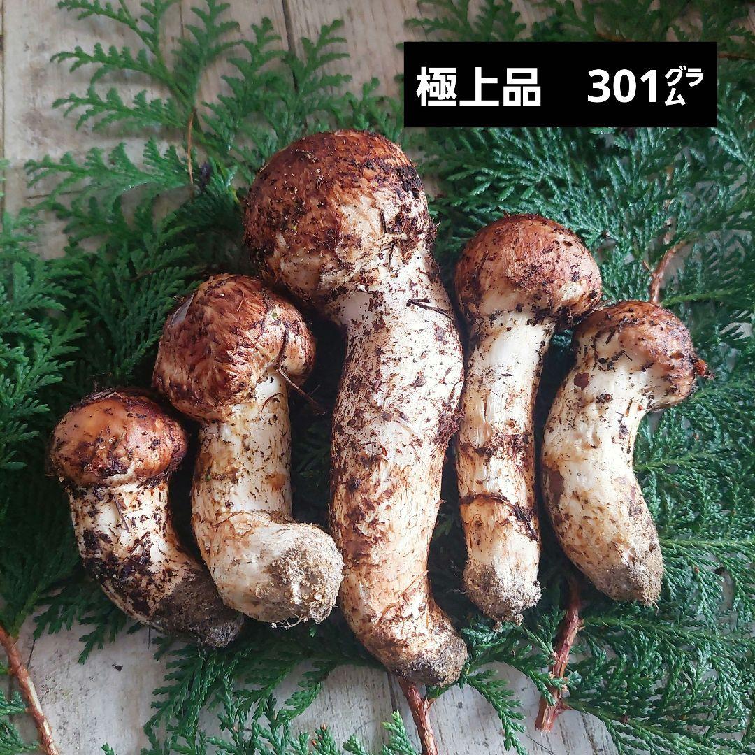 信州産♪松茸①