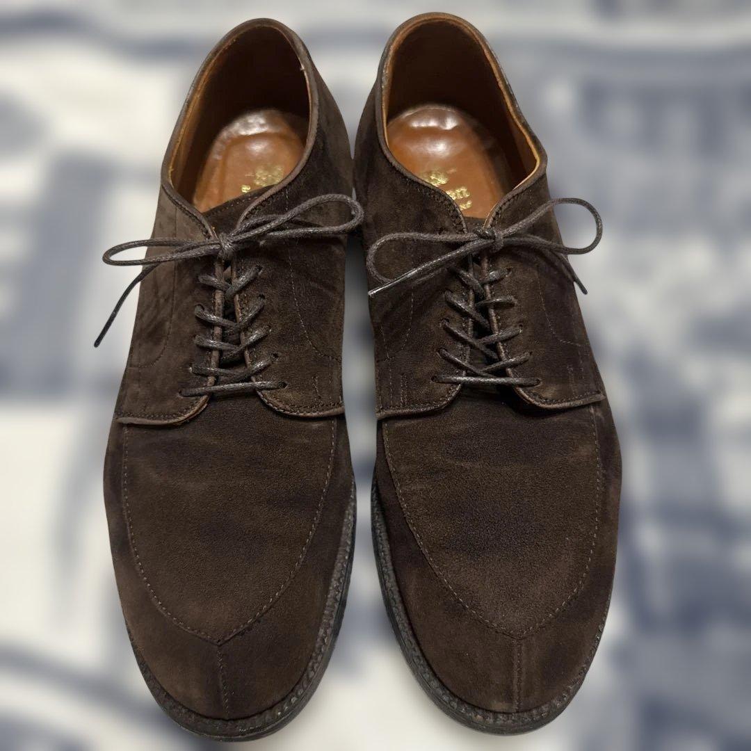 オールデン vチップ　7 スエード