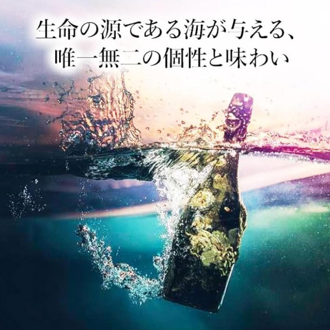 新品 海底熟成スパークリングワイン 木箱付 パリ五輪公式採用 750ml 辛口