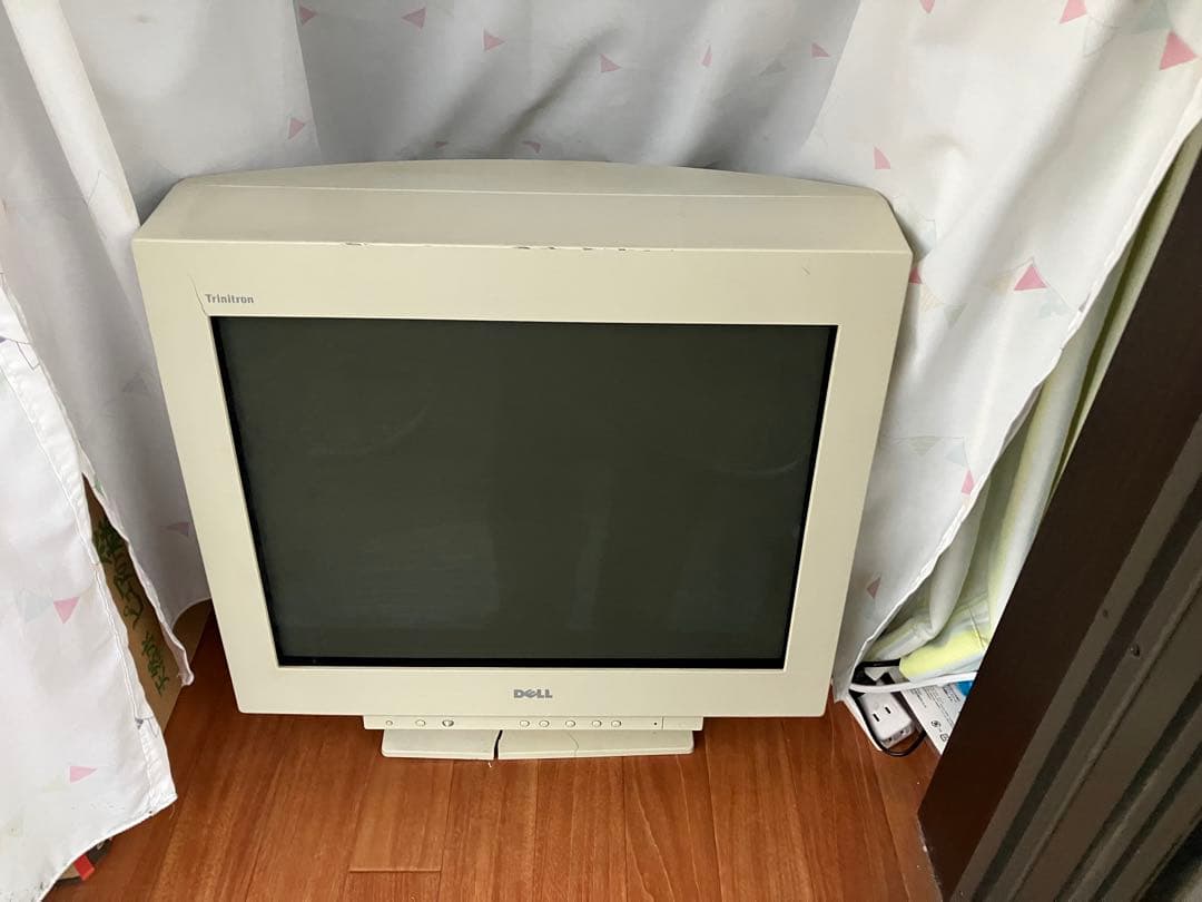 DELL 21インチ Trinitron P1110 CRTモニター　動作確認済