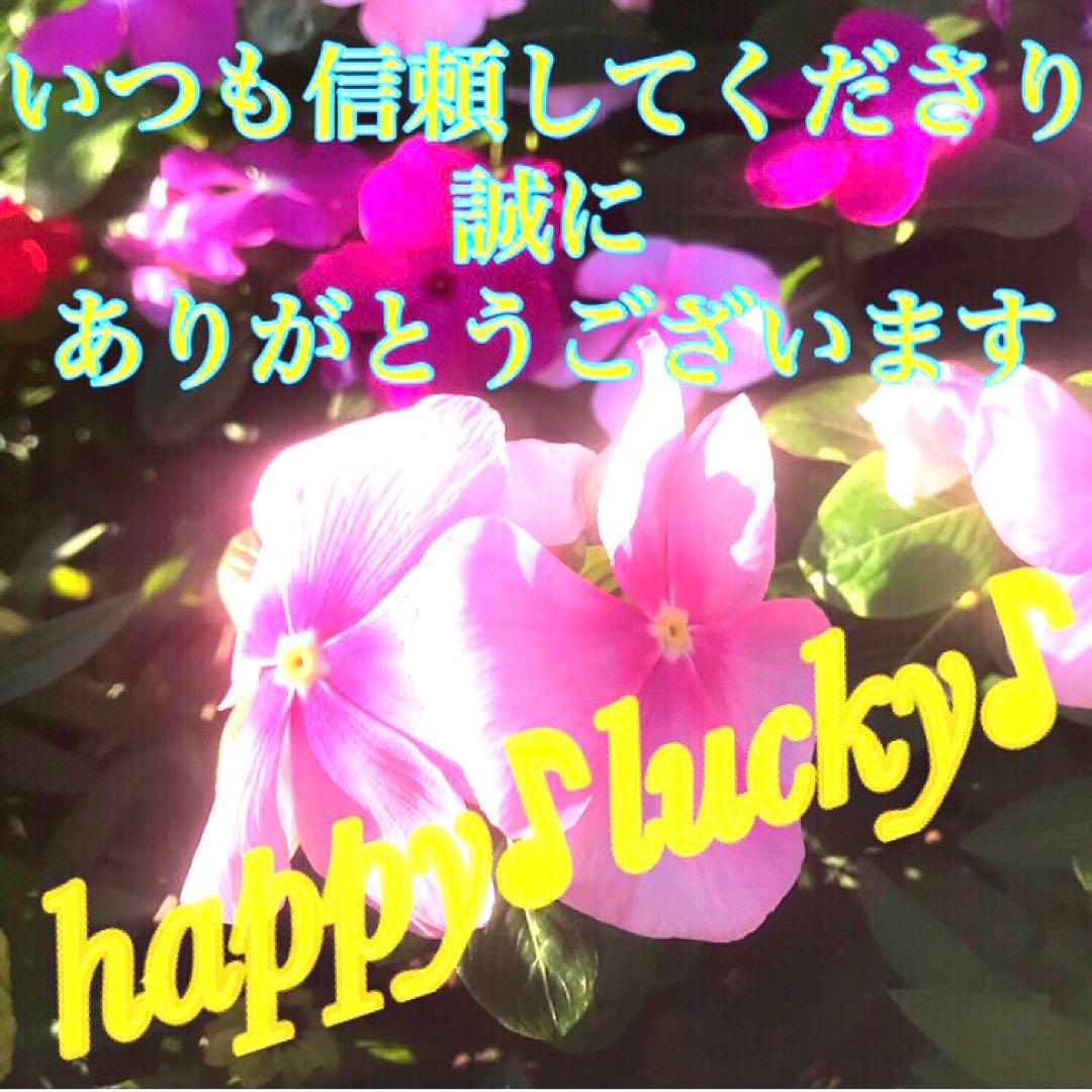 秘符(モモ)お金　金　銀　財　宝　金運アップ　貯金　護符　霊符　お守り