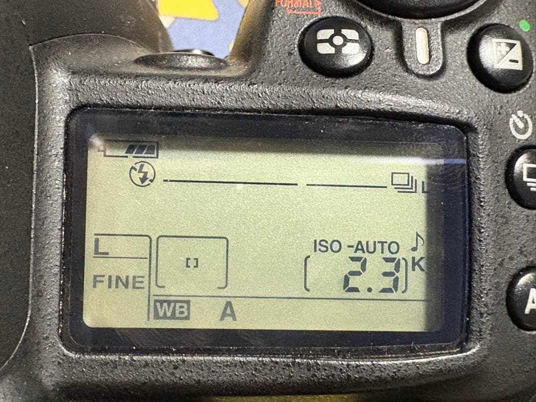 外箱付き　Nikon D90本体　バッテリー1本、ネックストラップ