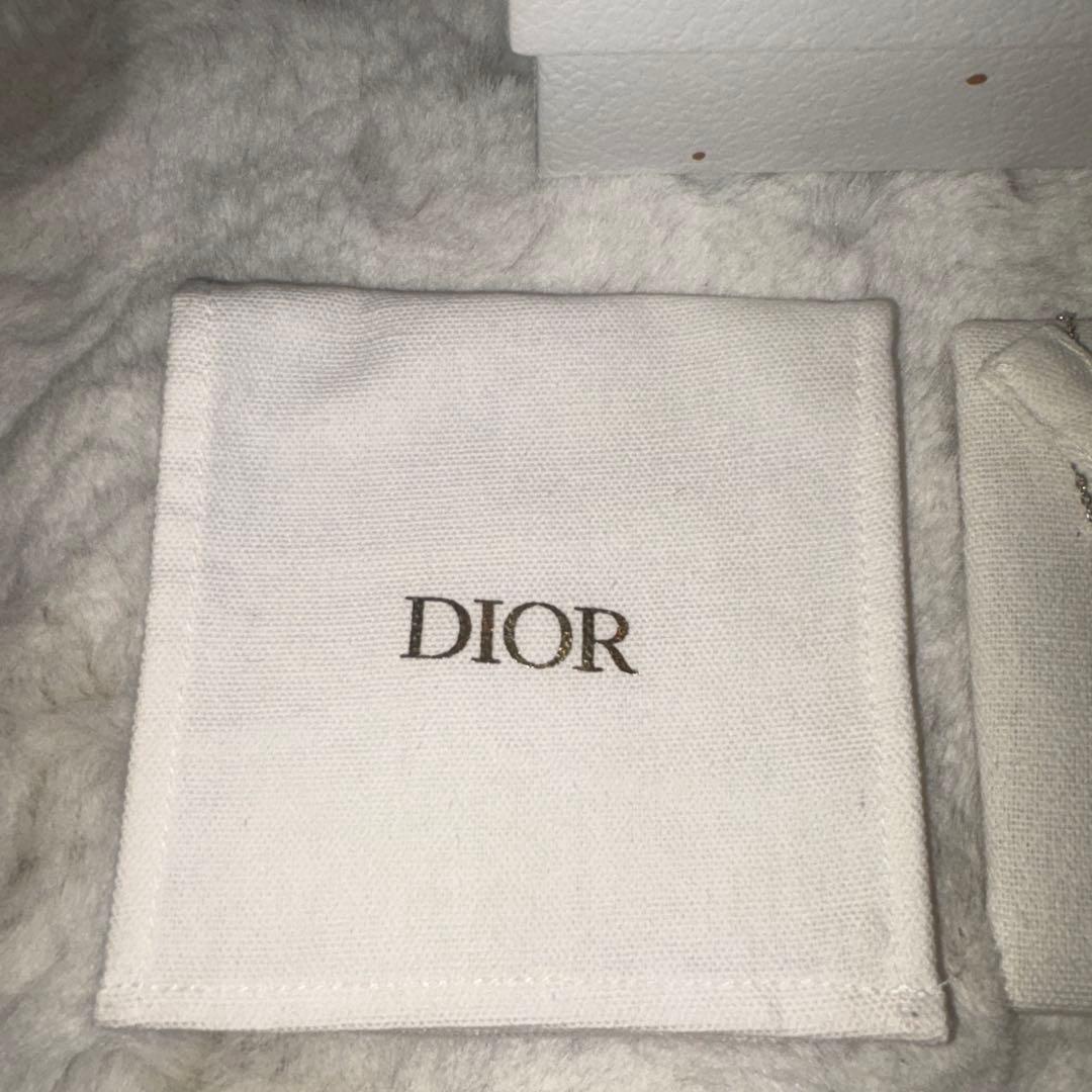 【即発送】Dior シルバー CDロゴネックレス