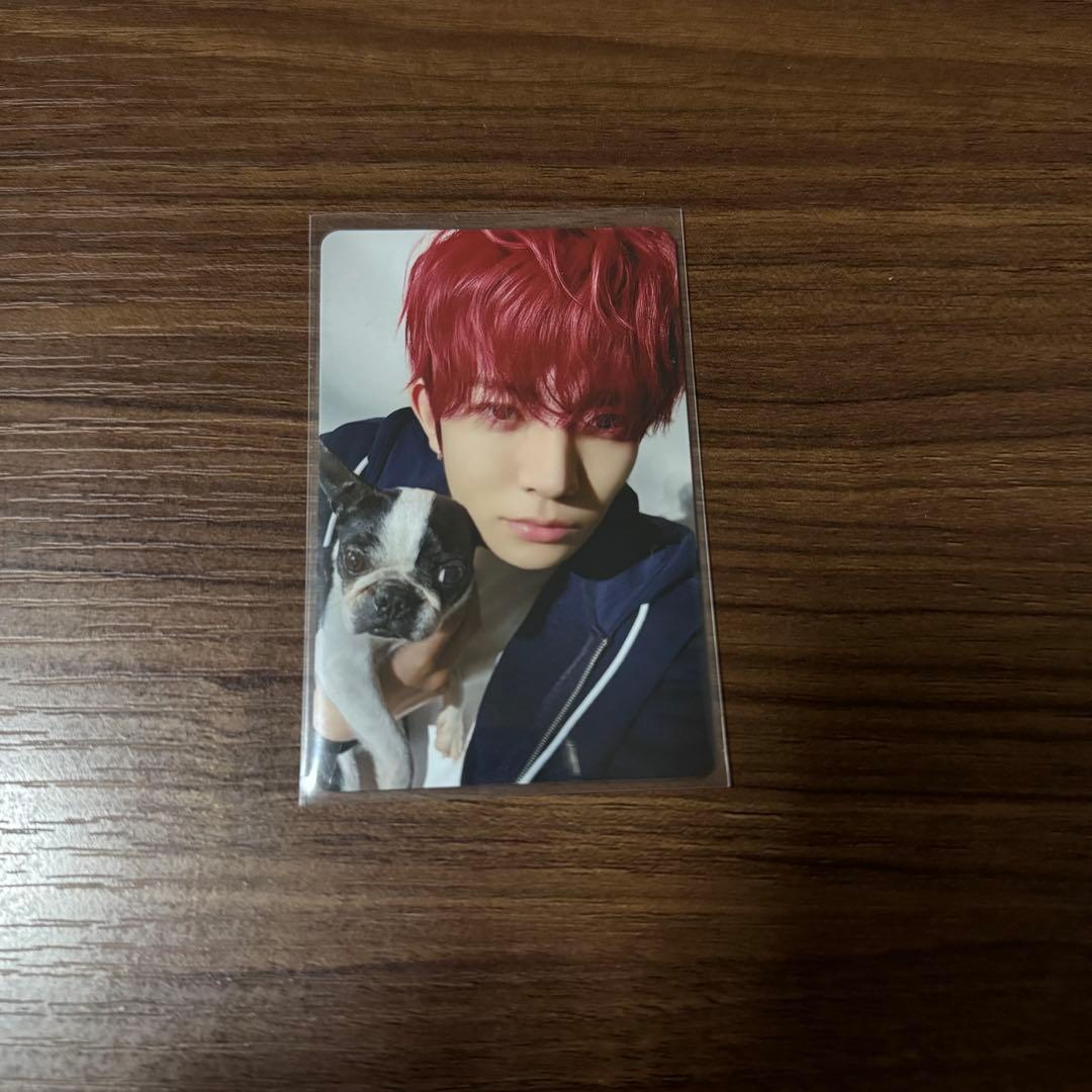 ENHYPEN 2025 アンケート 特典 FCトレカ ヒスン