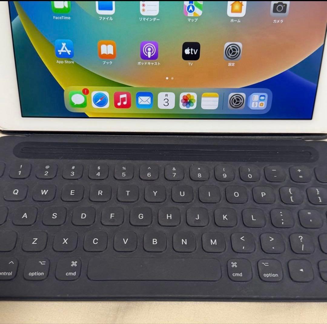 iPadPro 256GB 9.7インチ