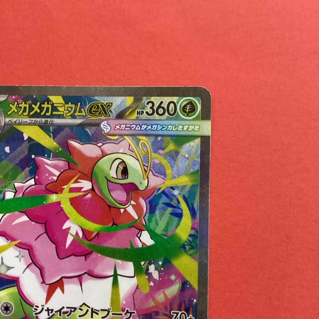 メガメガニウムex SAR仕様