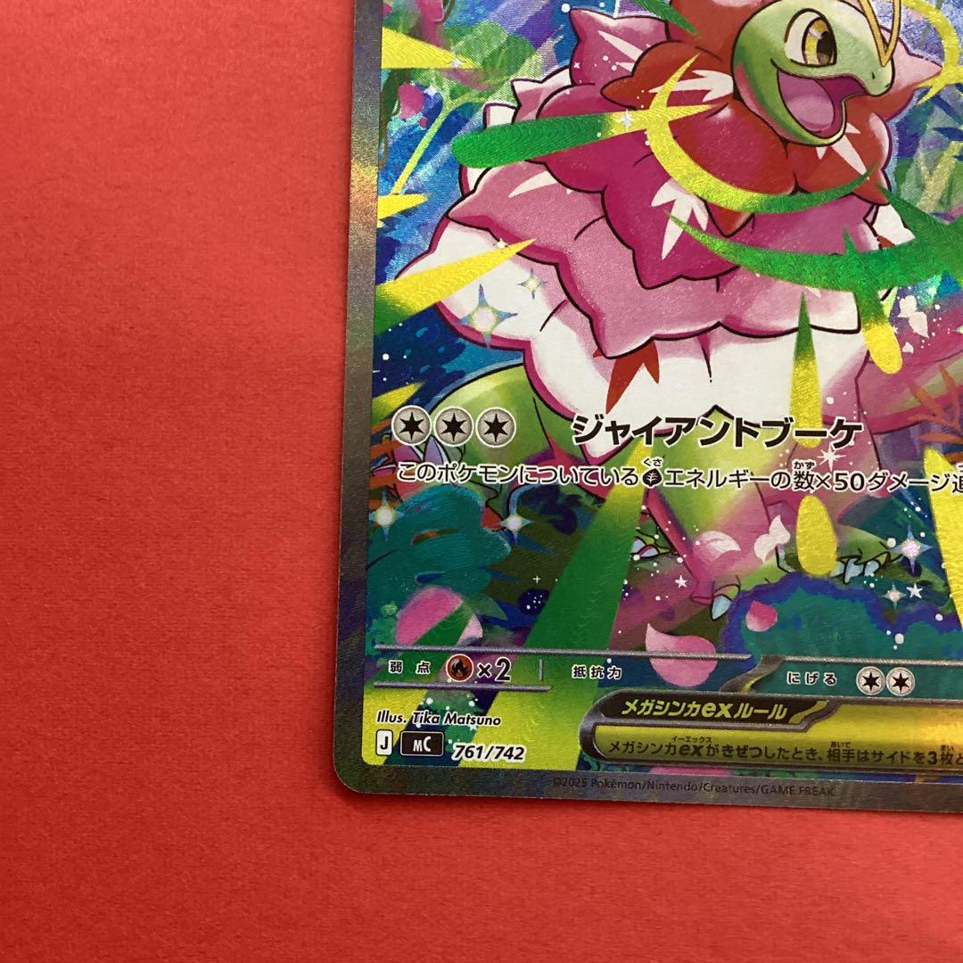 メガメガニウムex SAR仕様