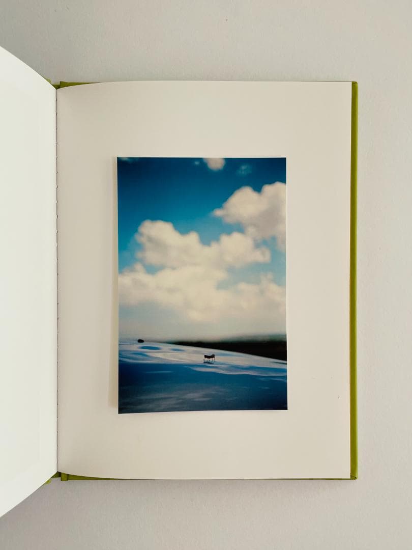 新同品 サイン入りプリント付『Some Insects』テリ・ワイフェンバック