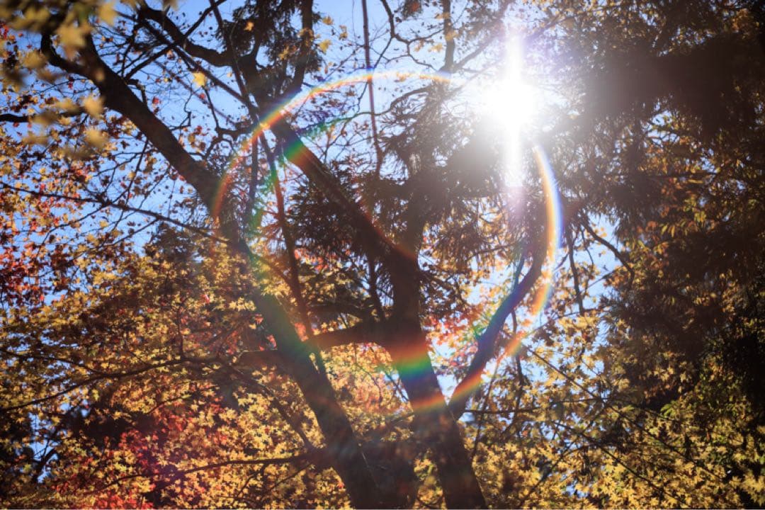 【美品】Super Takumar 55mm f1.8 初期型　m42マウント