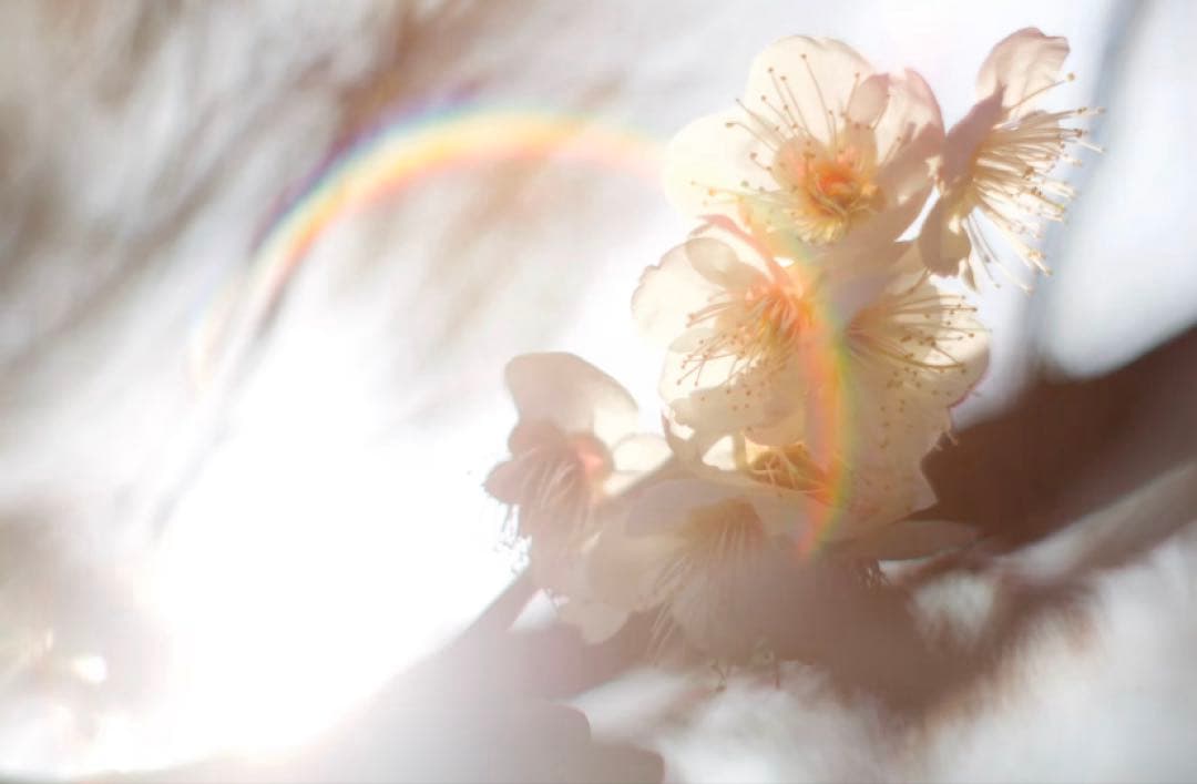 【美品】Super Takumar 55mm f1.8 初期型　m42マウント