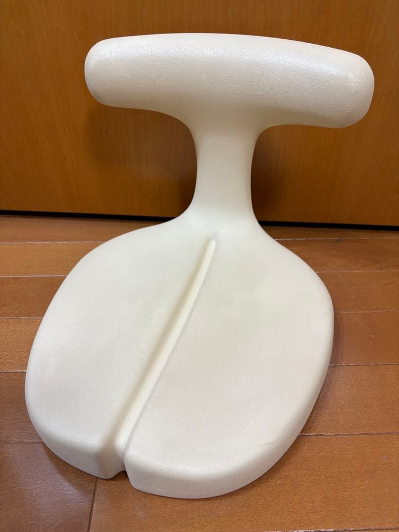 アーユル・チェアー　座イス＆座面シートタイプ