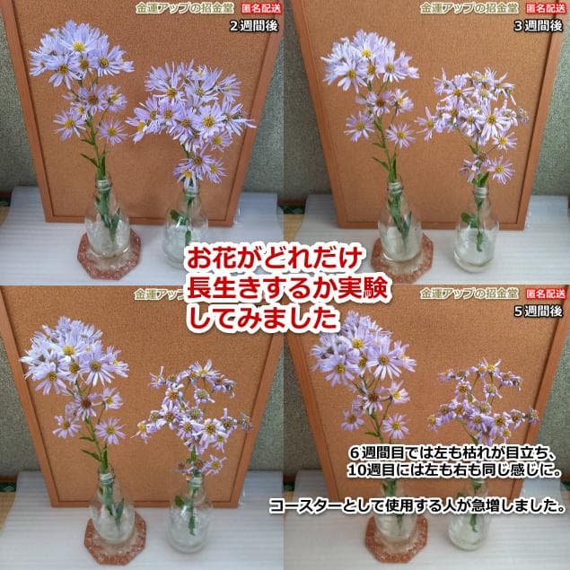 ネックレスへ変更【数量限定お試し版】×お金の恩返し×パワーストーンの恩返し　同梱