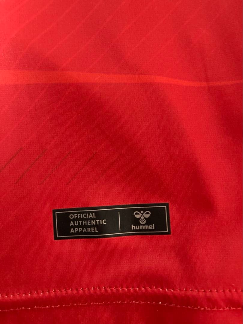 ツエーゲン金沢　庄司朋乃也選手　39番　2024年　ユニホーム