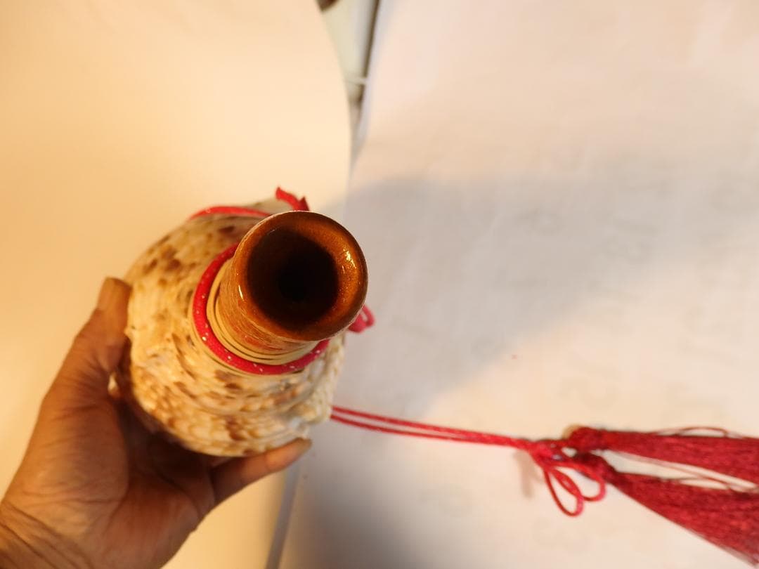 法螺貝 約35㎝ 木製歌口,赤紐付　新品　 MH-443