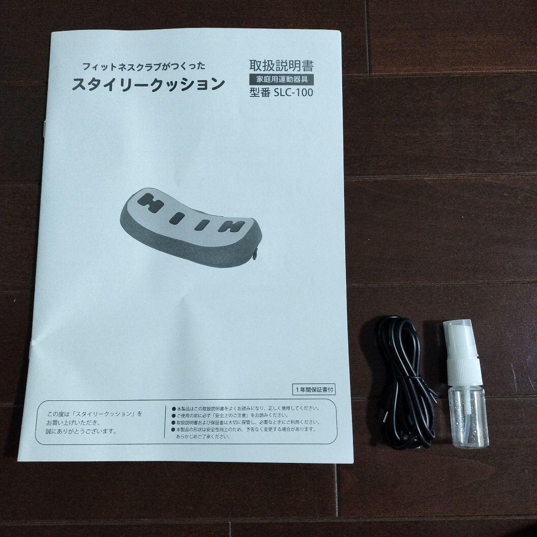 【がんちゃんLOVE ❤】EMS フィットネスクラブがつくった スタイリー