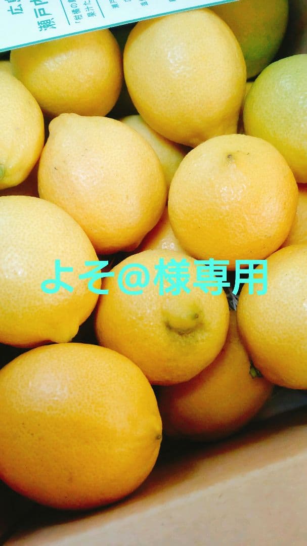 よそ@12/26以降発送休止　