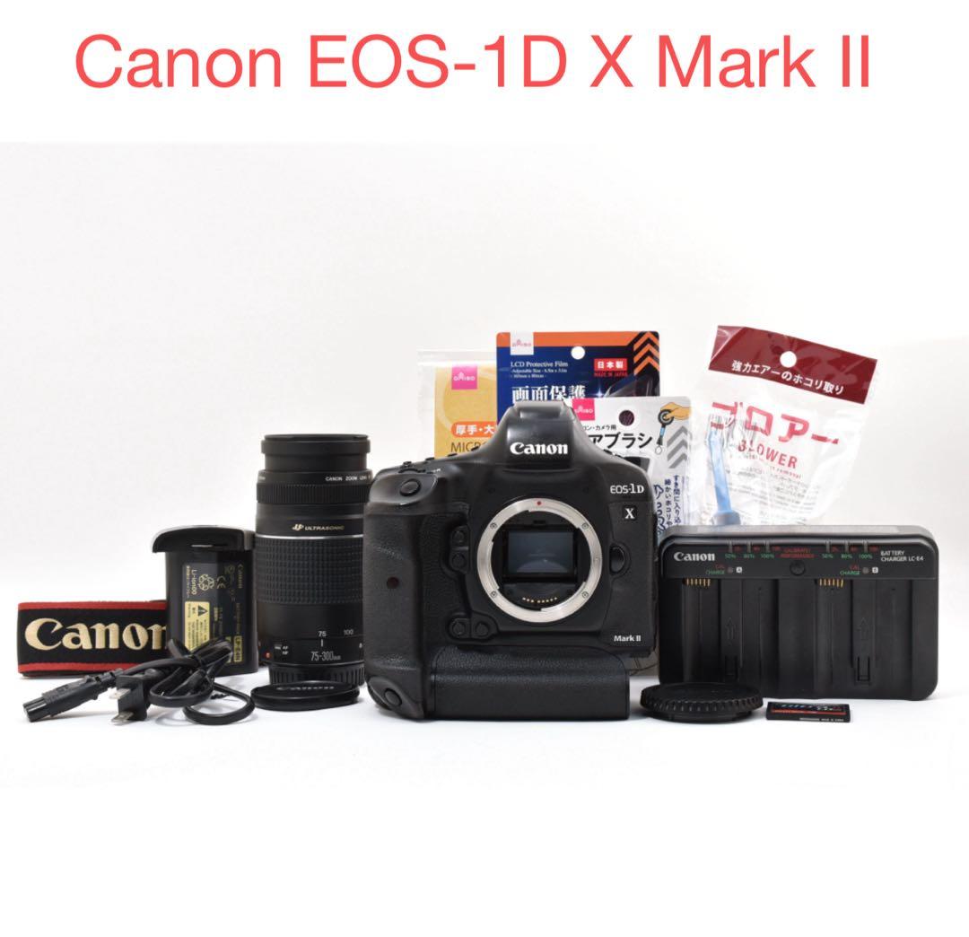 Canon EOS-1D X Mark IIレンズセット/EF75-300mm
