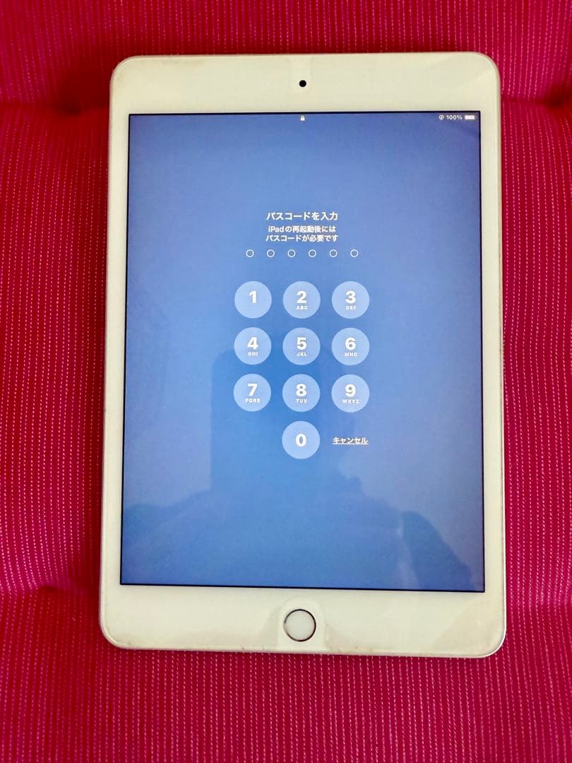 Apple iPad mini シルバー