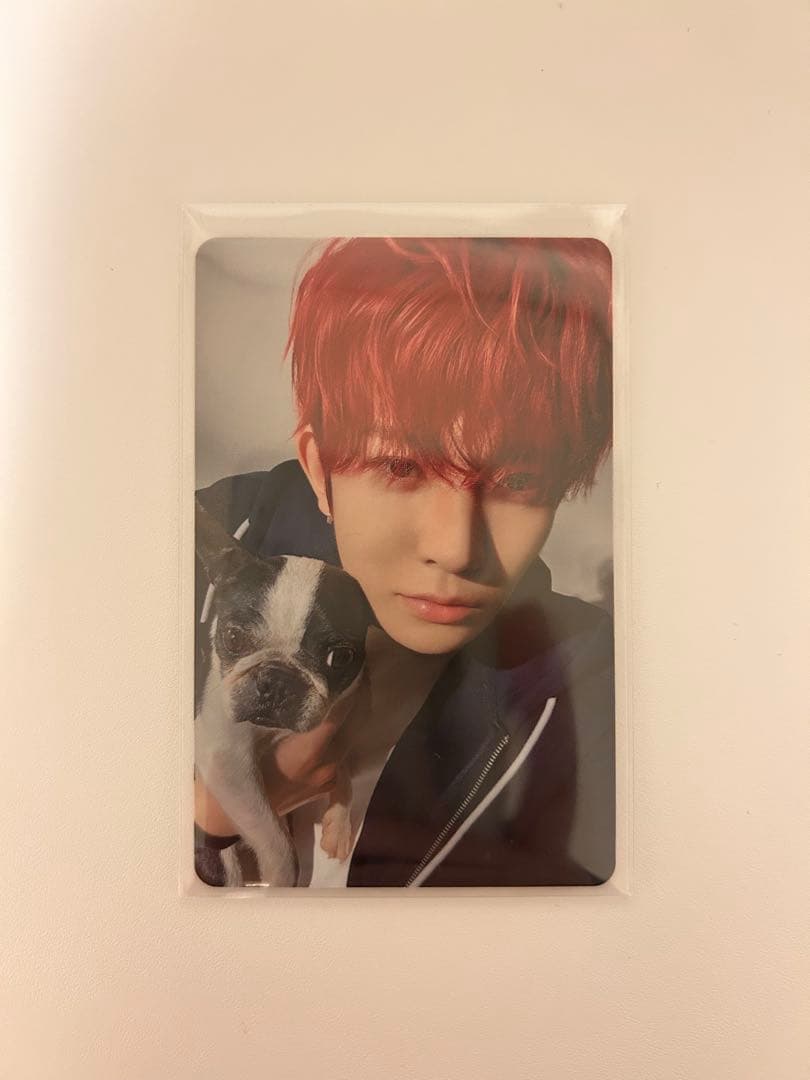 ENHYPEN アンケートトレカ ヒスン