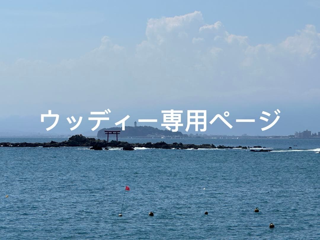 靴 adidas YEEZY SLIDE 27.5 25.5