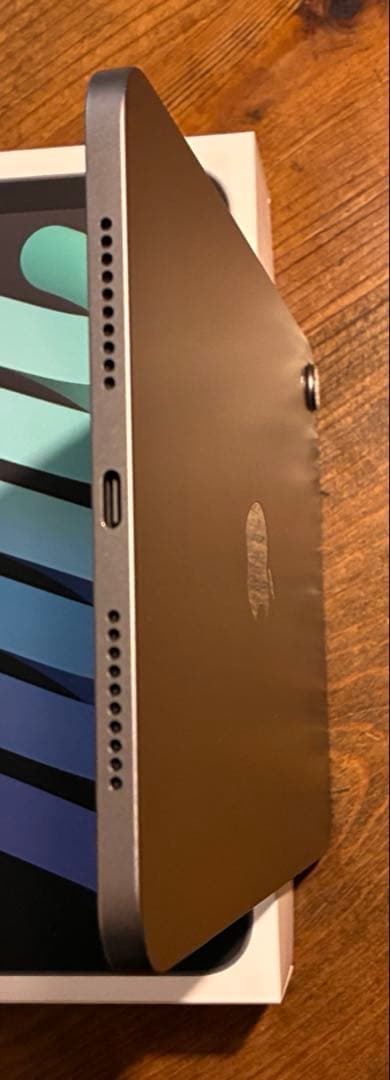 【L10NEL様】iPad mini 第7世代/Apple Pencil Pro