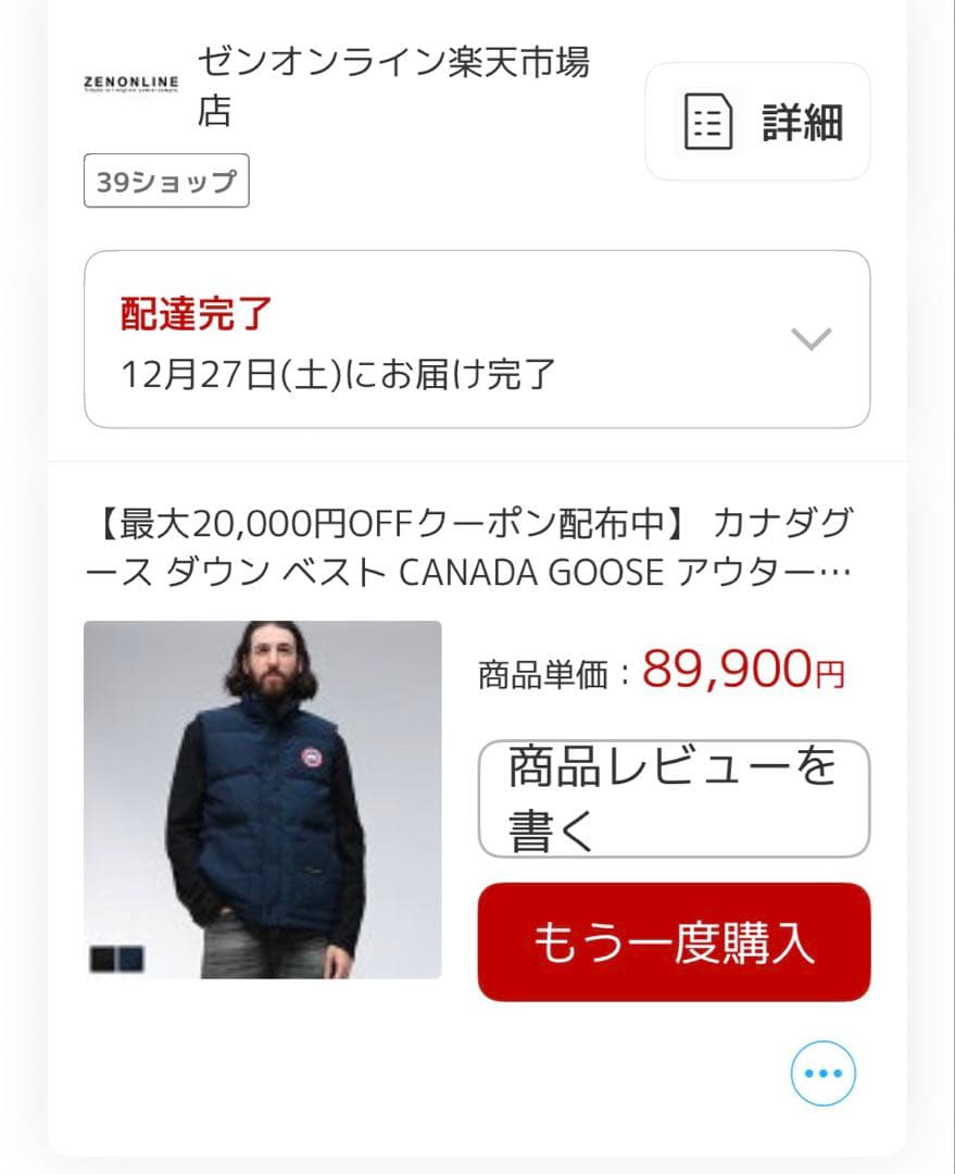   Freestyle Vest ダウンベスト　L