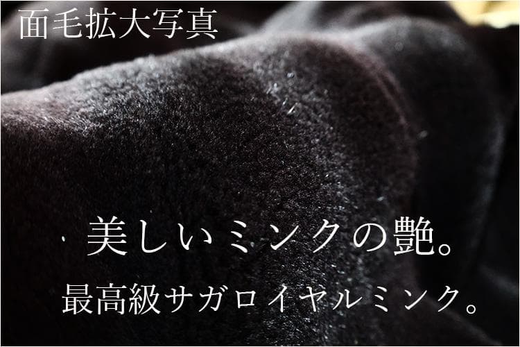 【新品】is-341201-14/SAGA/シェアドミンク/9-13号